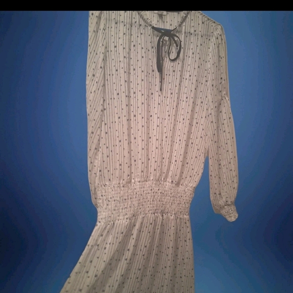 (NWT!) TRISTAN Chic Long Sleeve Sheer Cream Dress - Picture 7 of 8
